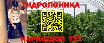 стафф Канаш