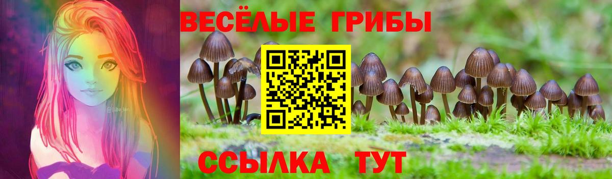 Псилоцибиновые грибы ЛСД  Вход с VPN  Красноярск  Псилоцибиновые грибы GOLDEN TEACHER 